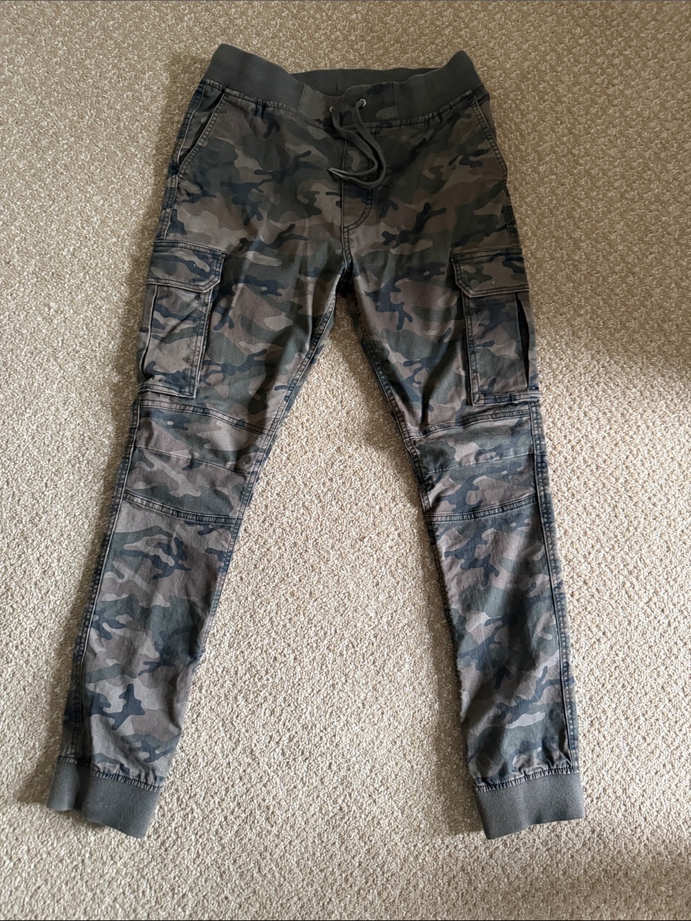 Men’s Camo Cargo Jogger Pants - Green/Brown